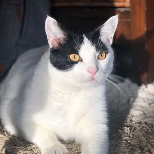 Meet your Posher, Eryn